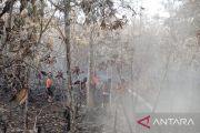 Karhutla di Sungai Rotan Muara Enim meluas capai 8,5 hektare