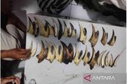 Kemenhut ciduk pengedar sisik trenggiling dan paruh rangkong di Padang