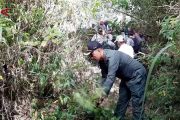 Waspada karhutla, KPH Lawu DS bangun ilaran 4,5 kilometer