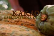 Kakao: dari Jembrana ke dunia (bagian 3)