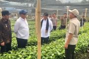 Kementan bidik ekspor kopi Indonesia tembus Rp100 triliun