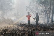 BPBD Palangka Raya tangani 130 kejadian kebakaran lahan hingga 31 Juli
