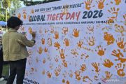 Jambi marks Global Tiger Day with conservation call