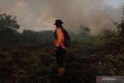 Kasus ISPA di Kota Pontianak meningkat 10 persen dampak kabut asap