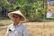 Pemkab Bantul sebut  surplus padi  capai 100 ribu ton tahun ini