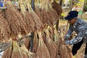 Pemkab Bantul siapkan ribuan pompa cegah gagal panen akibat kemarau