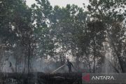 Palangka Raya Tanggap Darurat Karhutla hingga 10 Agustus