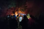 Kebakaran hutan lindung Gunung Soputan meluas hingga 300 hektare