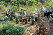 Pemerintah Mataram wajibkan pengembang sisihkan 2 persen lahan untuk makam