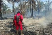 Kebakaran lahan 45 hektare masih membara di Riau, pemadam hadapi sejumlah tantangan