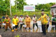 NTP Perkebunan Rakyat Papua naik 1,47 persen pada Juli 2026