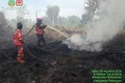 Diukur ulang, Karhutla di SM Kerumutan Pelalawan ternyata mencapai 54 hektare