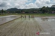 BPS: Serapan tenaga kerja DIY terkonsentrasi pada 3 lapangan usaha