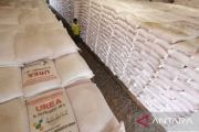 Pemkab Bantul catat serapan pupuk subsidi mencapai 70 persen