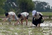 Mahasiswa Universitas Malahayati dampingi petani terapkan ergonomi dan pestisida nabati