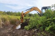 Kalimantan Tengah perkuat penanganan karhutla melalui normalisasi kanal