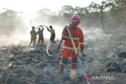 BNPB: Tidak ada korban dalam karhutla di Kutai dan Paser Kaltim