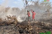 100 hektare lebih kebakaran lahan di Riau masih ditangani, sumber air jadi kendala