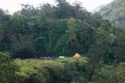 30 hektare lahan terbakar di kaki Gunung Rinjani, api berhasil dipadamkan
