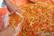 Harga cabai rawit Rp59.650/kilogram, telur ayam Rp29.450/kilogram