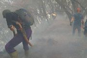 Mount Gede Pangrango fire extinguished, trails closed until Aug. 11