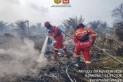Dinkes Riau siapkan bantuan 18 ribu masker untuk Pelalawan, besok dikirim
