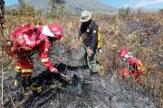 Tim Gabungan berhasil kendalikan karhutla di Taman Nasional Gunung Rinjani NTB