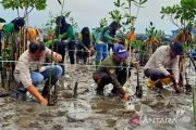 DLH Natuna ajak warga tingkatkan kepedulian terhadap alam