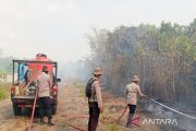 BNBP: 10 provinsi dikepung kebakaran hutan dan lahan