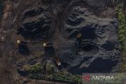 Ekonom sarankan bursa mineral dimulai dari 1-2 komoditas