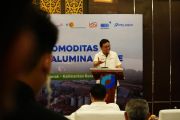 MIND ID perluas hilirisasi bauksit ke logam tanah jarang