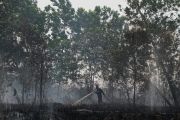 Berikut perkembangan karhutla di Palangka Raya