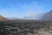 Indonesia contains Bromo fire hotspots after 900 hectares affected