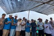 Listrik Masuk Sawah tingkatkan produktivitas petani di Lampung Timur