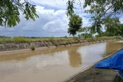 Lampung petakan kebutuhan air mitigasi dampak El Nino