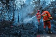BNPB: Karhutla di Magetan dan Jombang padam kurang dari 24 jam