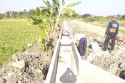 Demak dibantu irigasi di 115 lokasi untuk mendukung optimalisasi pertanian