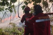 Dishut Kaltara libatkan masyarakat cegah dan padamkan kebakaran hutan
