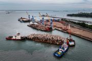 Pelindo Multi Terminal catat 59,59 juta ton arus barang semester I