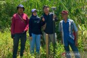 PLN Lanjutkan Legalisasi 26 Lokasi Lahan Tapak Tower untuk Perkuat Interkoneksi Kaltim--Kalsel
