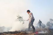 Kapolda Kalsel terjun langsung padamkan karhutla dekati pemukiman