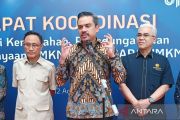 Kementerian UMKM integrasikan sistem pelayanan lintas sektor