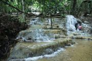 Pemkab Kutai Timur perkuat wisata konservasi edukasi sasar semua kalangan