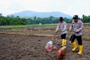 Polres Lingga dan petani garap 3,5 hektare lahan untuk jagung pipil