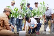 Sumbawa tanam pohon di lahan kering Labuhan Kuris