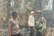Polda Kaltara Tangani Titik Api Baru di Lahan 11,5 Hektare