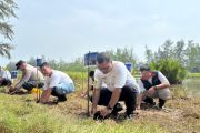 InJourney Tanam 10 Ribu Mangrove di Pantai Tiram, Perkuat Ekosistem dan Pariwisata Padang Pariaman