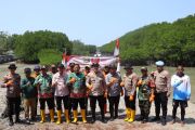 Polres Kepulauan Seribu tanam 2.000 mangrove peringati HUT RI