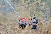 BPBD Probolinggo: Karhutla Bromo dapat dikendalikan