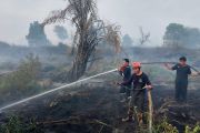 BPBD Kaltara perkuat kesiapsiagaan hadapi potensi Karhutla